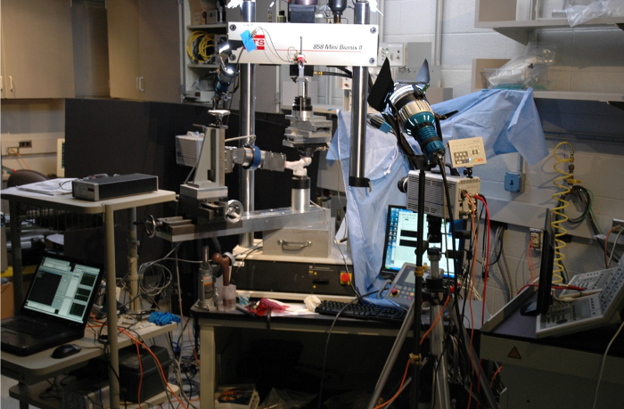 Spectroscopy setup with optical excitation equipment in a lab, used for photonic studies.