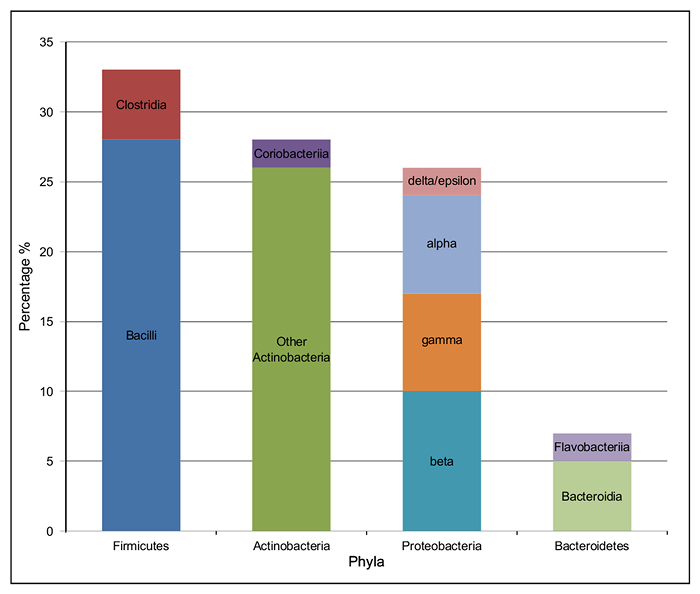 figure-results-4