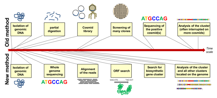 Genomic sequencing methods diagram; compares old vs. new DNA sequencing techniques and workflows.