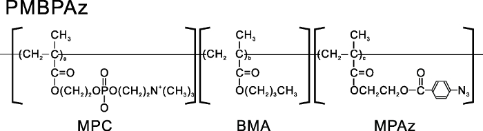 Polymer structure diagram of PMBPAz with MPC, BMA, MPAz monomers.