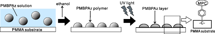 PMBPAz coating process diagram; polymerization on PMMA substrate using ethanol and UV light treatment.