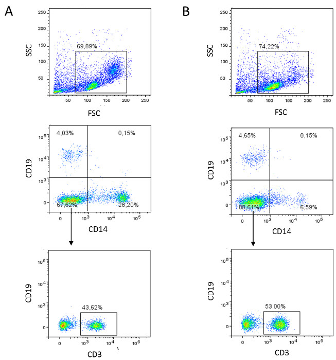 figure-results-2 Flow cytometry analysis, cell population distribution, FSC vs SSC, CD19, CD14, CD3, dot plot, experiment.