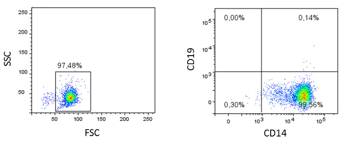 figure-results-3 Flow cytometry graphs, SSC vs. FSC, CD19 vs. CD14, cell population analysis.