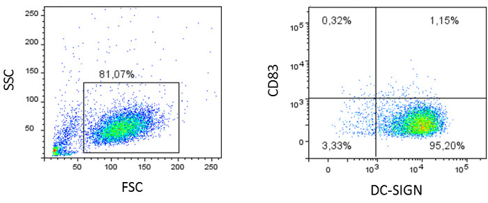 figure-results-4 Flow Cytometry Analysis; Dot plots of FSC vs SSC and CD83 vs DC-SIGN display cell population data.