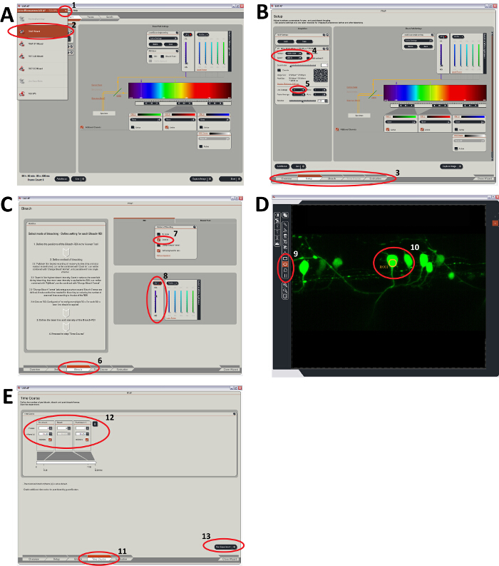 Fluorescence microscopy setup for optical excitation; diagram of light spectrum adjustments and imaging results.
