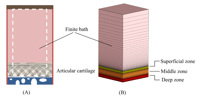 figure-protocol-2 figure-protocol-2