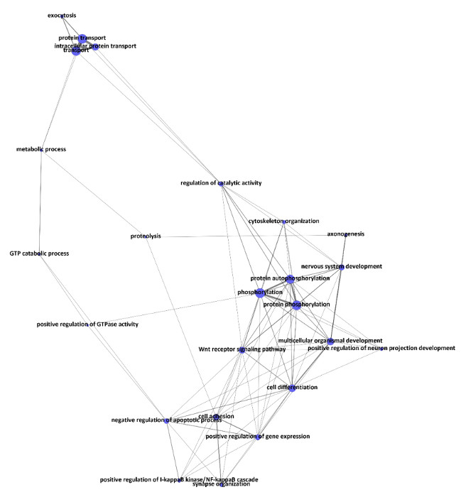 figure-results-5 Functional gene interaction network diagram for biological process analysis and gene regulation study.