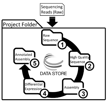 figure-protocol-1