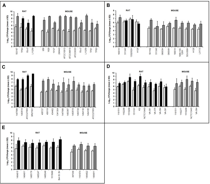 Bar charts on Log₂ CFU changes in rat and mouse samples; bacterial growth; experimental data.