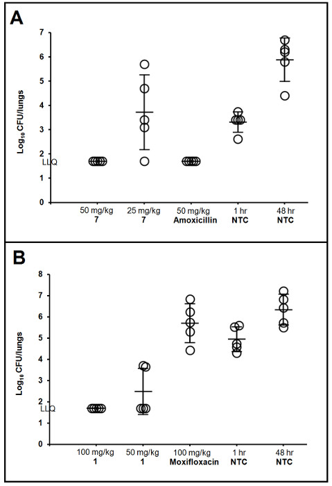 Antibiotic efficacy analysis; graphs compare Amoxicillin vs. Moxifloxacin on bacterial lung loads.