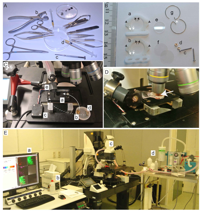 Biomedical research setup depicting surgical tools, microdissection, and imaging for sample analysis.
