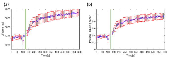 FRET experiment results showing lifetime and fraction over time graphs.