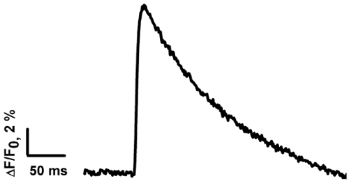 figure-results-1 Fluorescence intensity vs. time graph; optical excitation measurement dynamics at 50 ms scale.
