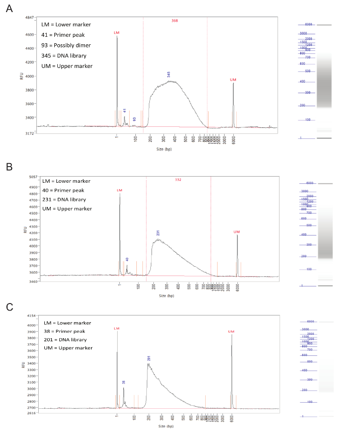figure-results-3 Electropherograms showing DNA library size distribution, including primer peaks and markers.