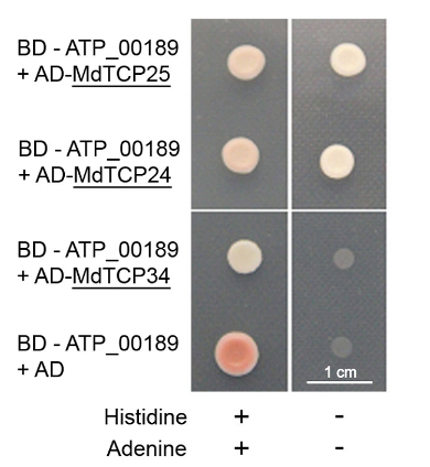 figure-results-2