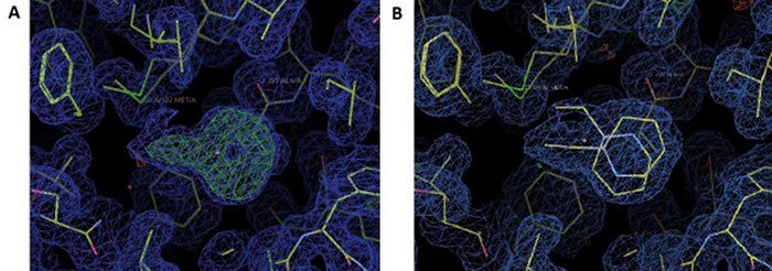 figure-protocol-5 Protein structure analysis, electron density map, crystallography results, molecular interaction.