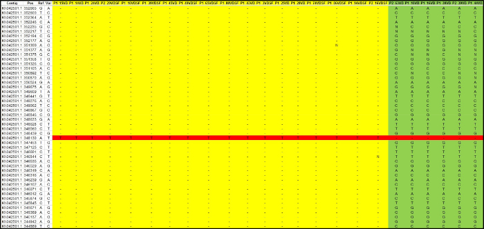 DNA sequence alignment chart highlighting genetic variation; data analysis for mutation detection.