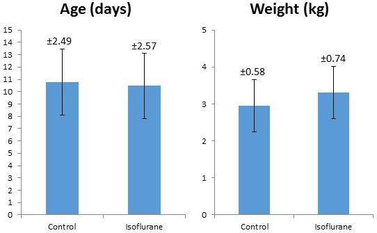 Bar chart comparing age and weight in days and kg, Control vs Isoflurane, with error bars.