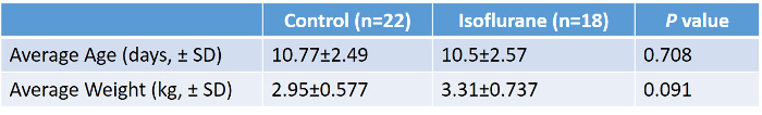 Control vs Isoflurane table; average age, weight data, P values; scientific comparison chart.