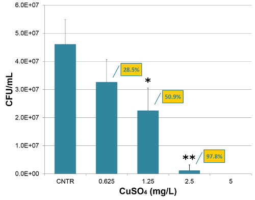 Bacterial growth inhibition graph; CFU/mL vs. CuSO4 concentration; bar chart with data percentages.