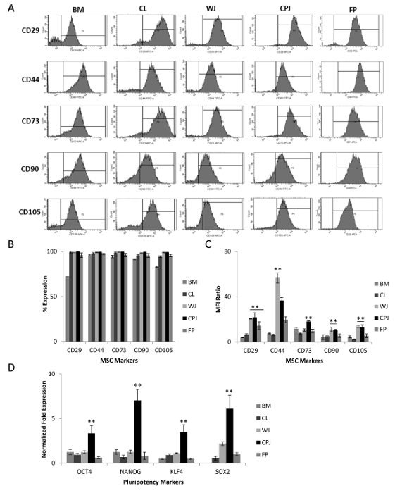 figure-results-5