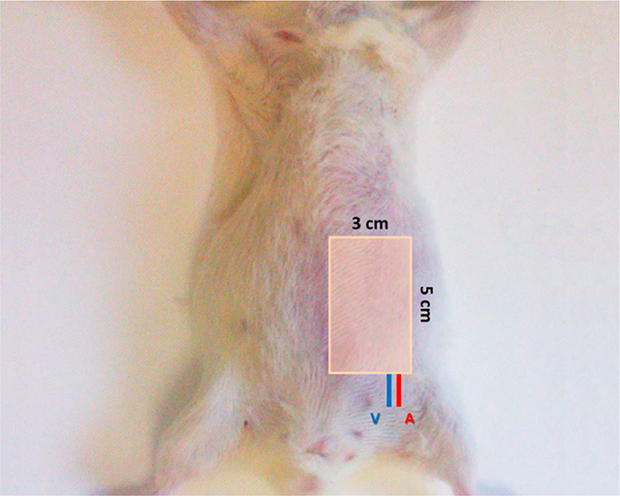 figure-results-3 figure-results-3