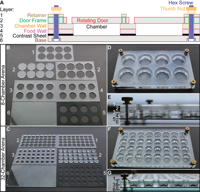 Chamber arena construction diagrams; 8, 32 well plates shown; experimental setup for behavioral tests.