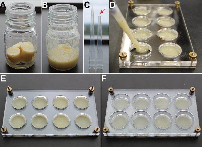 Food preservation experiment; emulsion preparation, pipetting into molds, solidification observed.