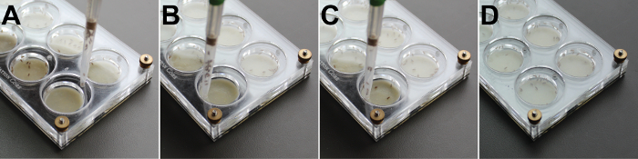 Microplate assay method; sequential liquid dispensing; pipette; well plate; experimental setup.