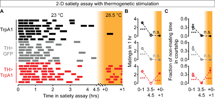 2D satiety assay graph with thermogenetic stimulation, showing mating data at different temperatures.