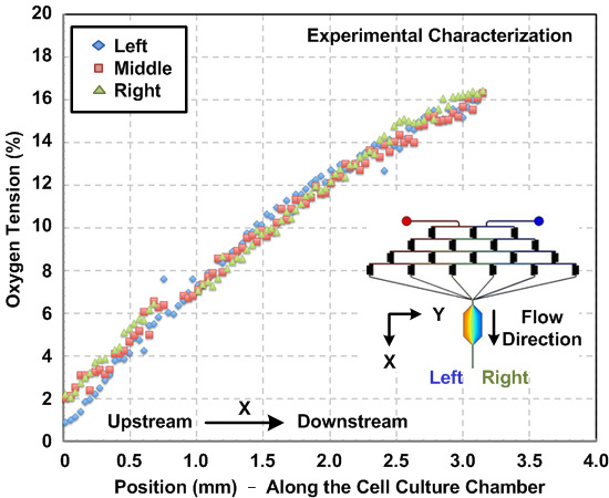 figure-results-3 Oxygen tension vs. position graph in cell culture chamber with left, middle, right flow diagram.