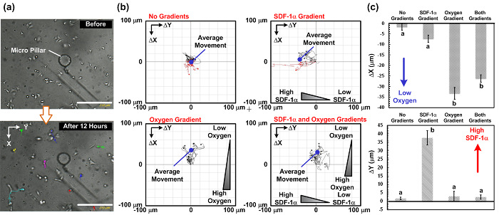 figure-results-5 Cell migration analysis in microfluidic device; charts showing movement under SDF-1α and oxygen gradients.