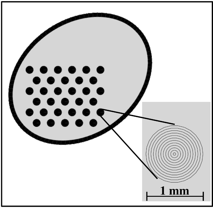 figure-results-1 Pollen grain diagram, surface detail inset, scale 1 mm, microscopic analysis, plant biology study.
