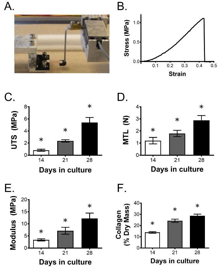 figure-results-3 Mechanical testing setup, stress-strain graph, and culture growth effect on material properties charts.