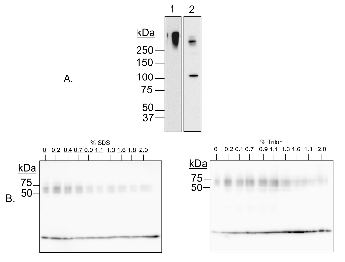 figure-results-1