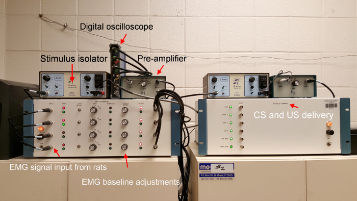 figure-protocol-3