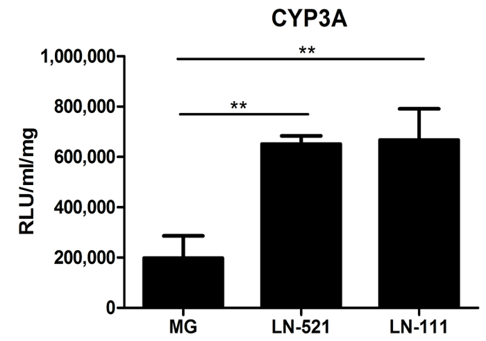 figure-results-3 CYP3A activity comparison bar chart; enzyme activity measurement; data analysis result; RLU scale.