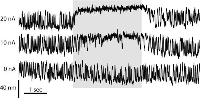 Current trace diagram; ion channel activity, electrophysiology experiment, current vs. time.