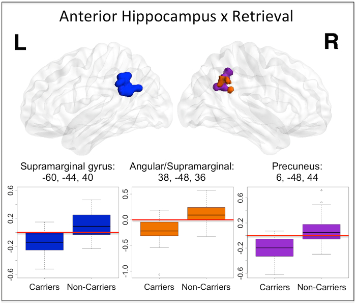 Anterior hippocampus retrieval effect; brain map, bar charts; neural activation in memory tasks.
