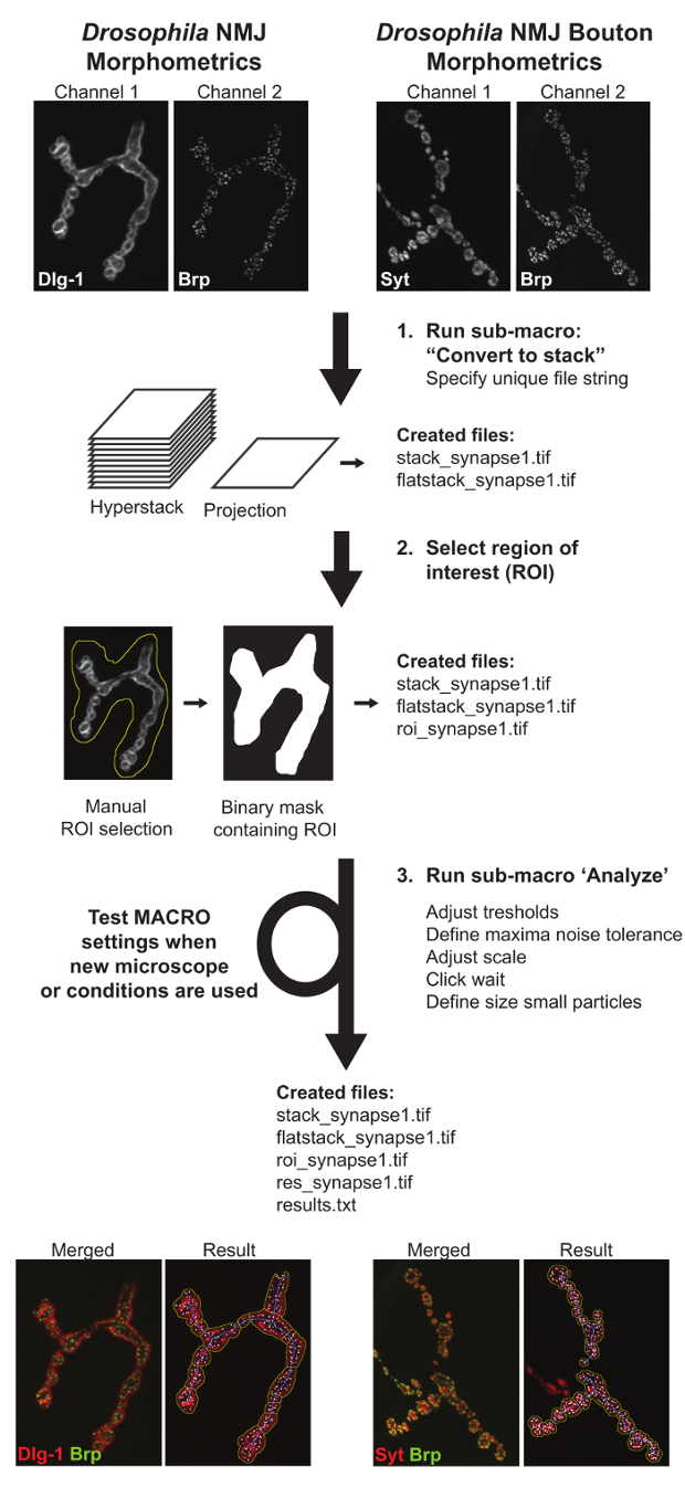 figure-results-3