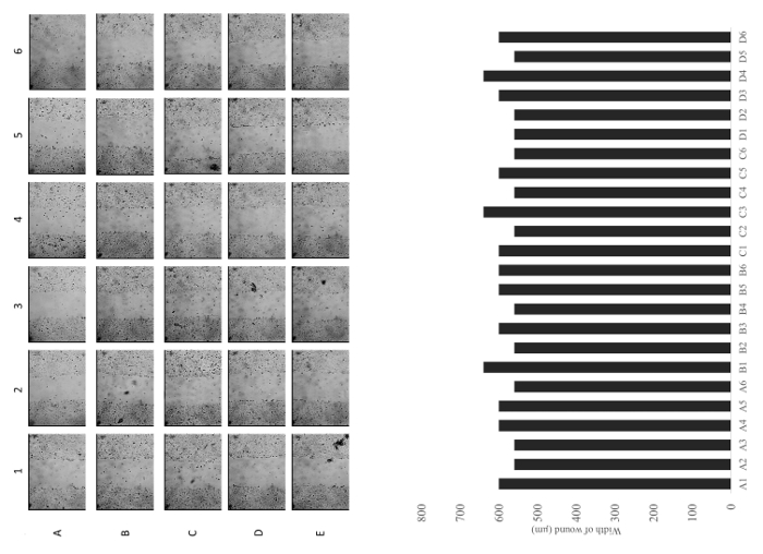figure-results-6