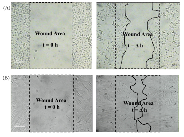 figure-results-7