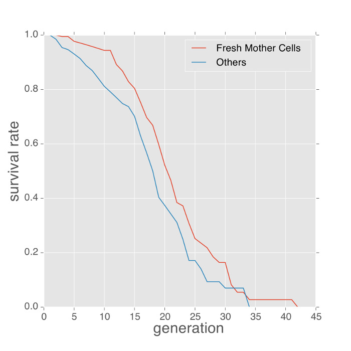 figure-results-2 Survival rate vs. generation graph; fresh mother cells vs. others analysis; scientific data.