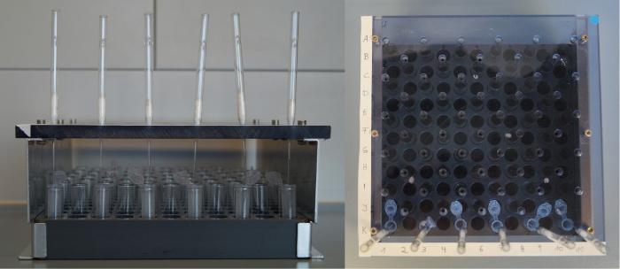 Microplate setup for high-throughput screening; pipettes and sample wells; chemical analysis.