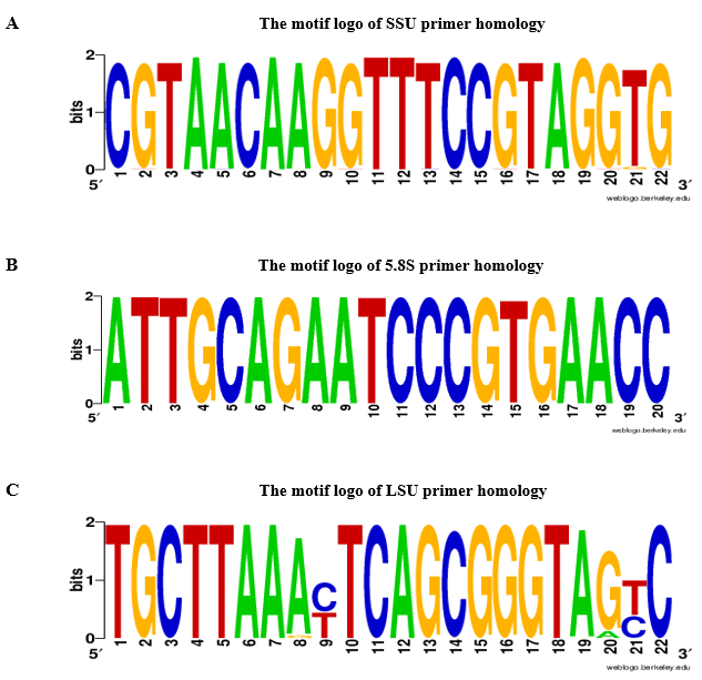 figure-results-3 DNA序列模体图谱,SSU、5.8S、LSU引物同源性,序列分析,生物信息学示意图。