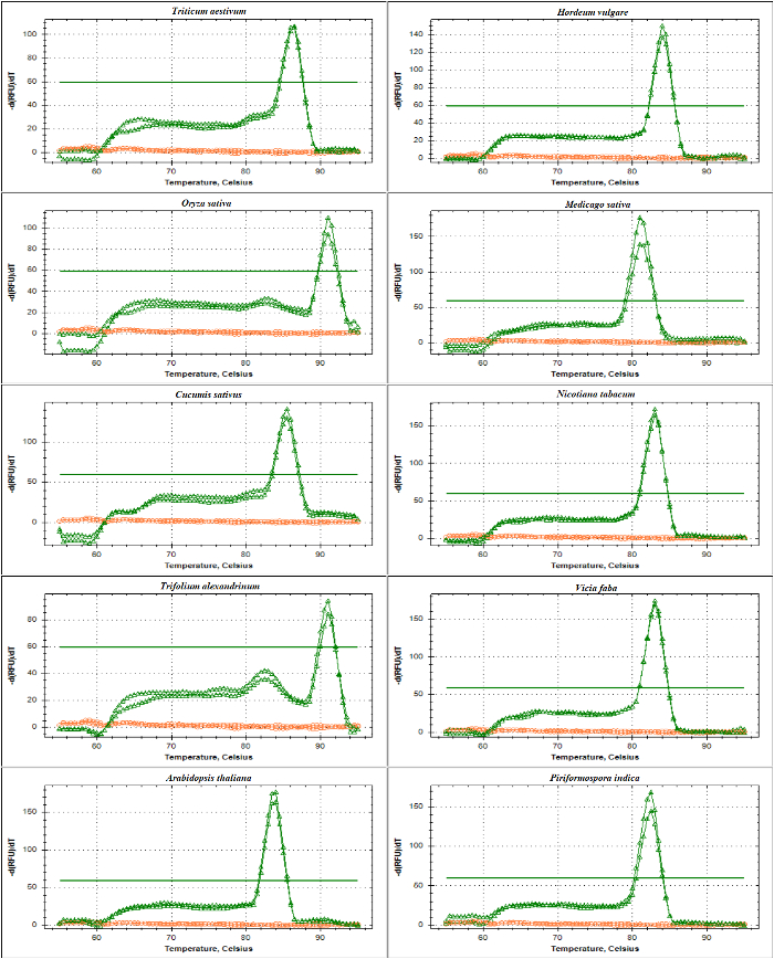 figure-results-5 差示扫描量热法图谱;不同植物物种的变性峰;热稳定性分析。