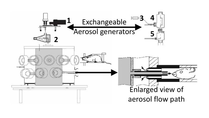 Aerosol generation system diagram with rodents, showing flow path setup for inhalation studies.