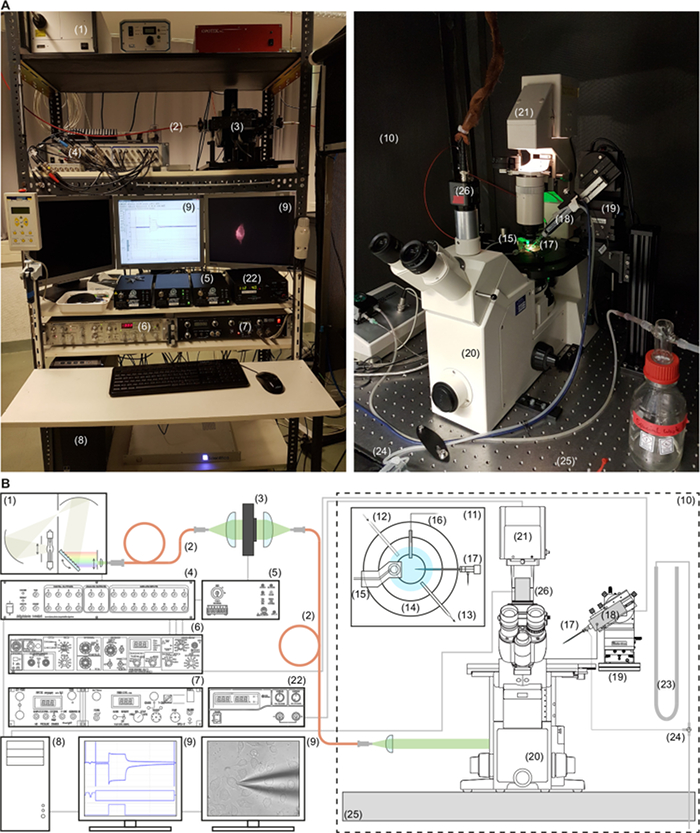Optical excitation measurement setup and diagram; spectroscopy, microscopy, system configuration.