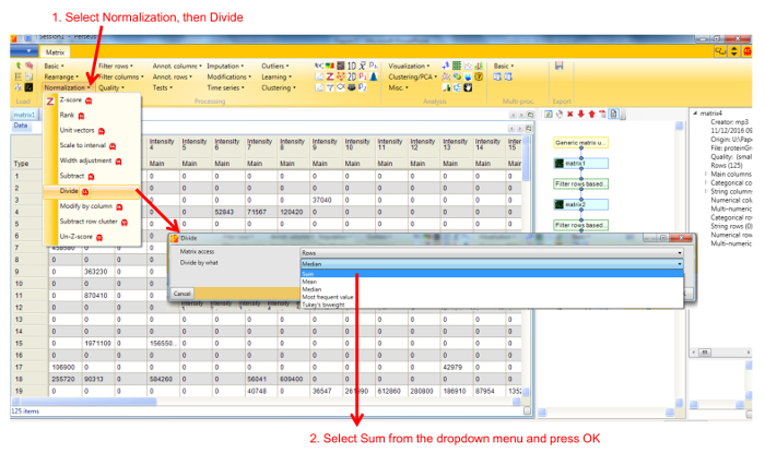 Data normalization process, matrix operation, software interface, selecting divide and sum functions.