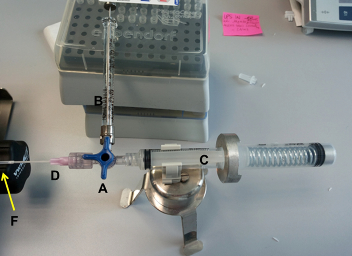 Chromatography setup diagram with syringes for protein purification process.